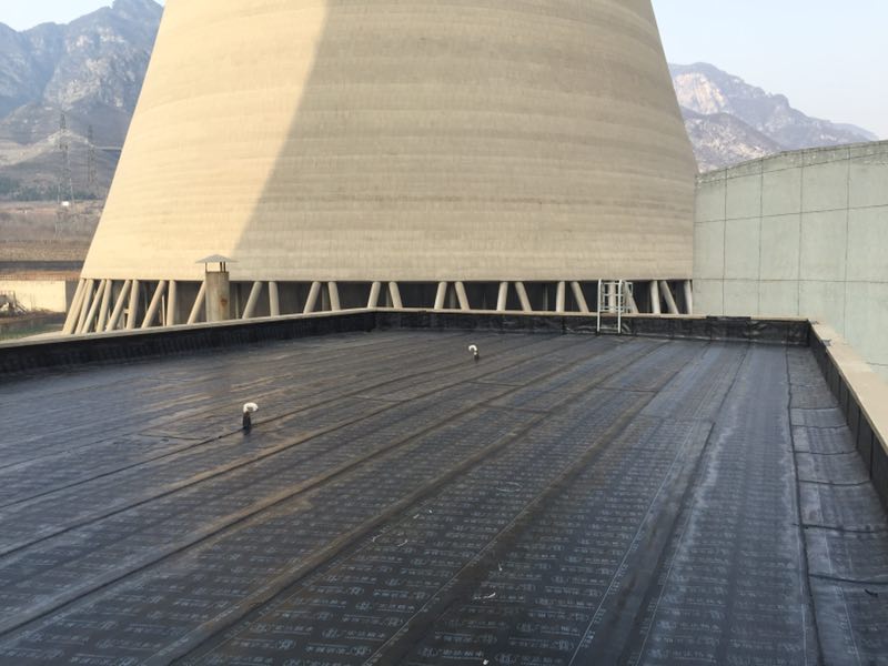 河南華能沁北電廠防水
