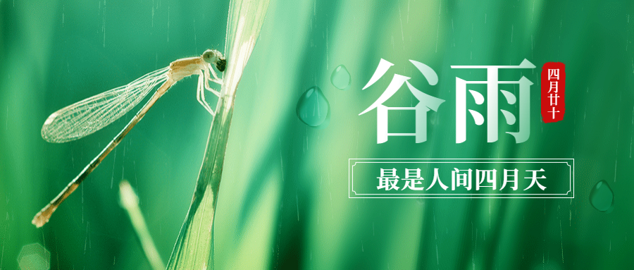 二十四節氣—谷雨