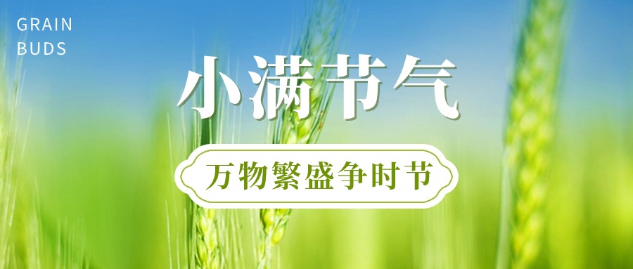 二十四節(jié)氣—小滿