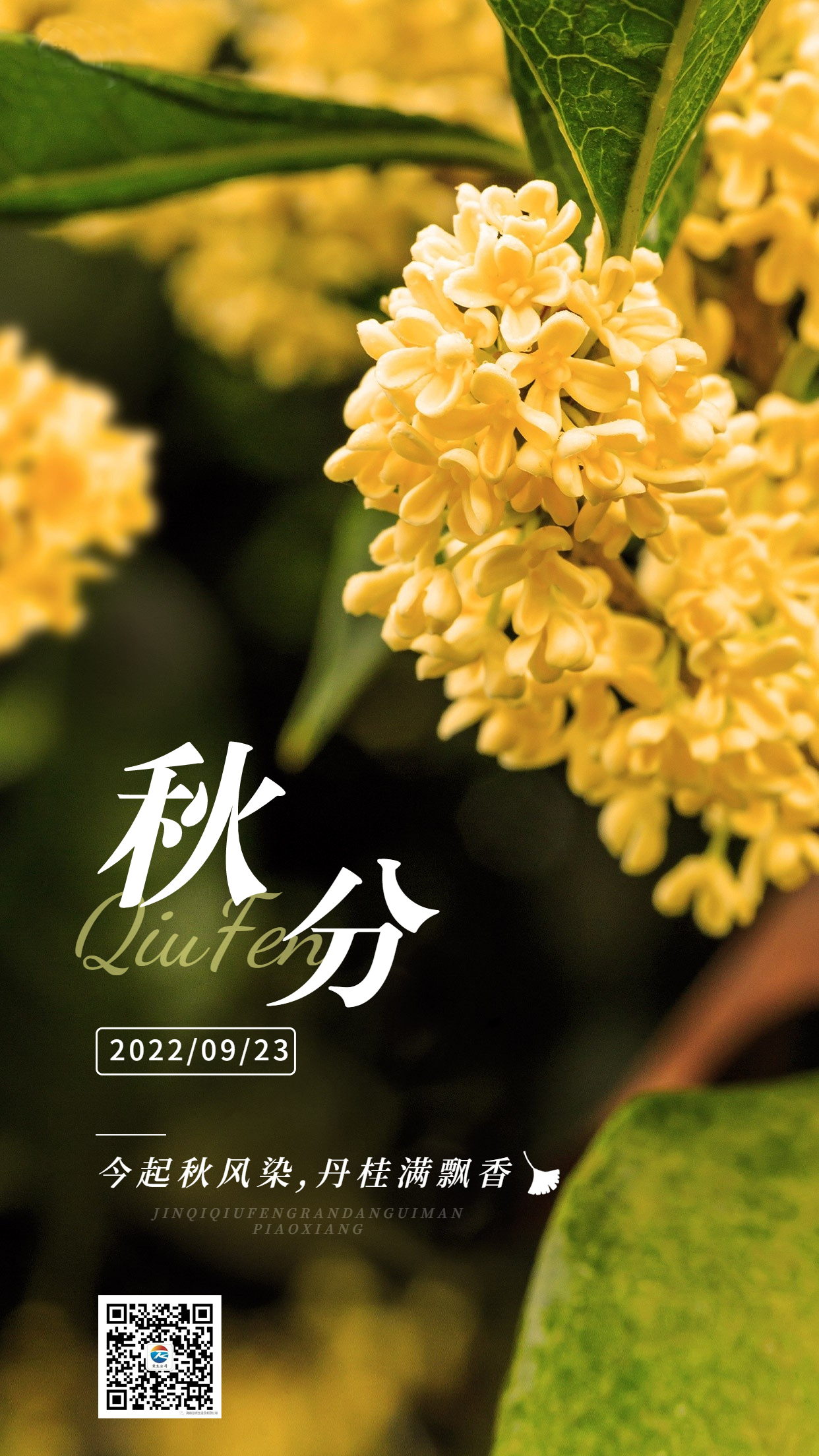 通用秋分節(jié)氣祝福實景手機(jī)海報