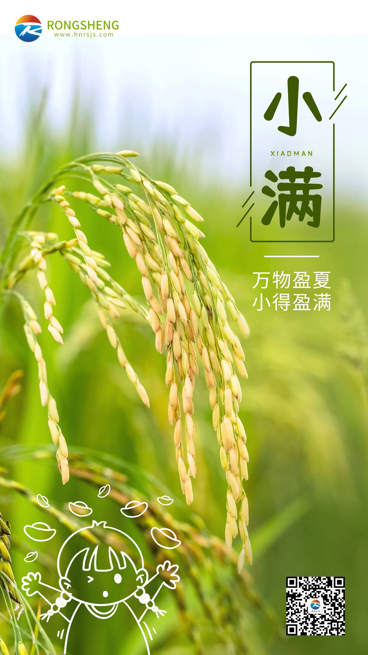 金融保險(xiǎn)小滿節(jié)氣祝福創(chuàng)意插畫海報(bào)