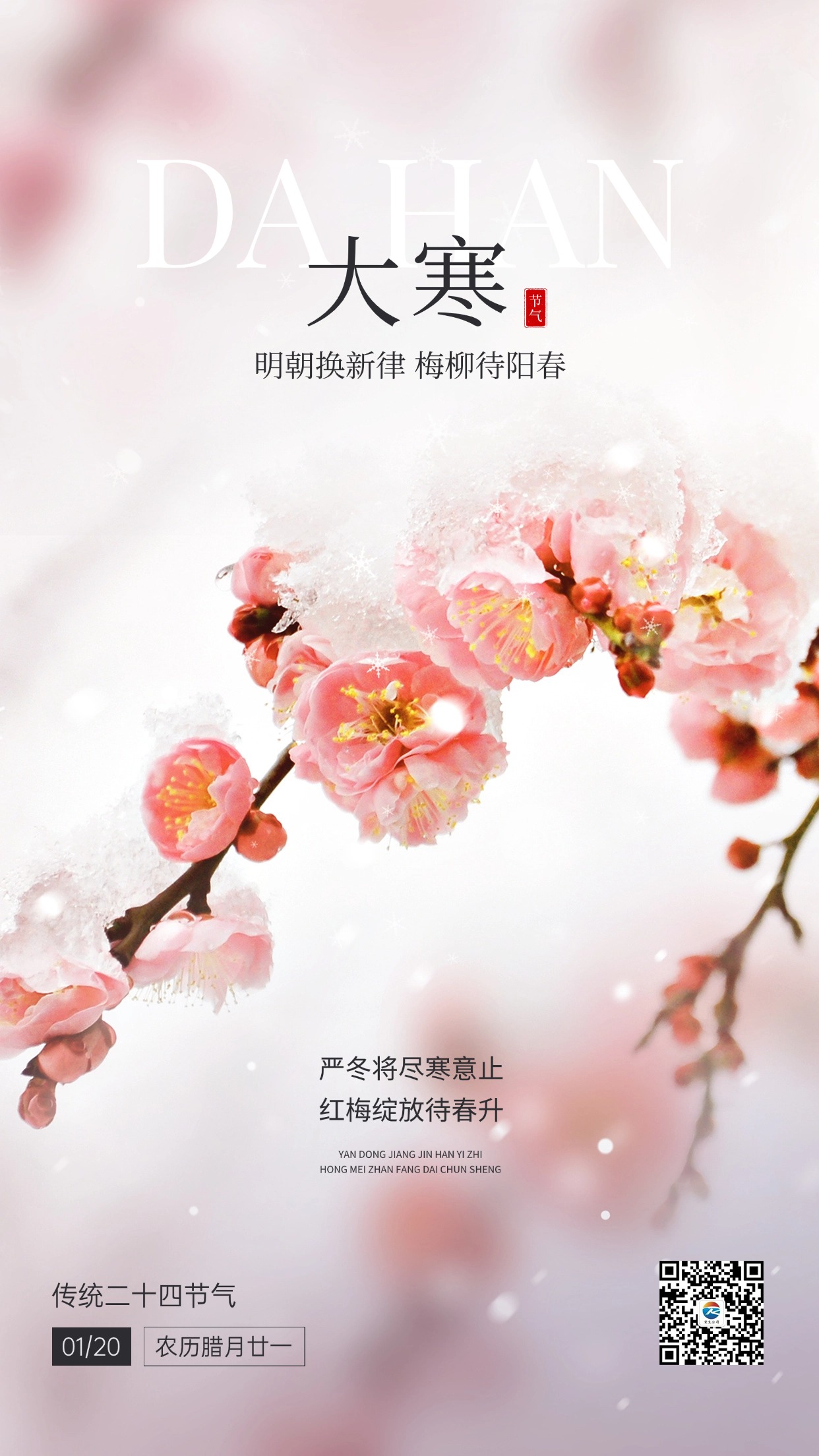 大寒金融保險節氣祝福實景風手機海報