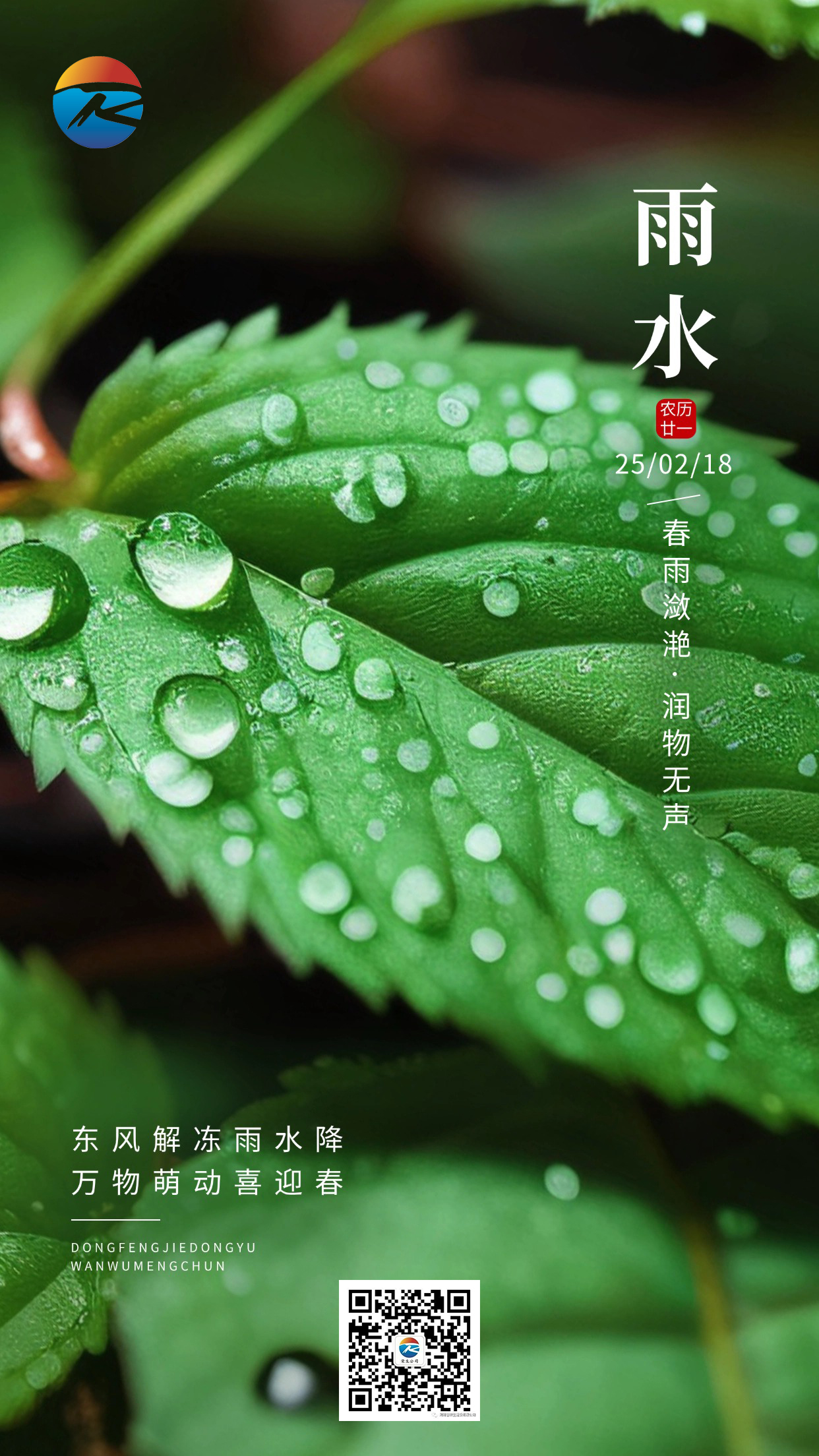 雨水節(jié)氣祝福實景風(fēng)手機海報AIGC